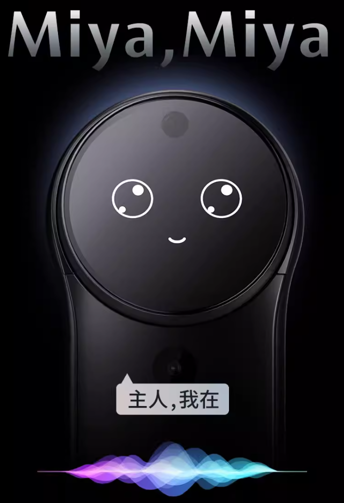 (官網預購優惠) DESMAN 德施曼 R9 (雲台版) 電子門鎖